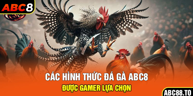 cac-hinh-thuc-da-ga-abc8-duoc-gamer-lua-chon