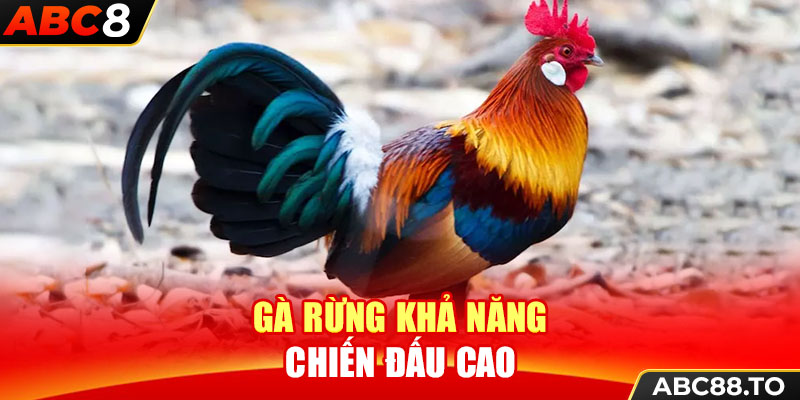 ga-rung-kha-nang-chien-dau-cao