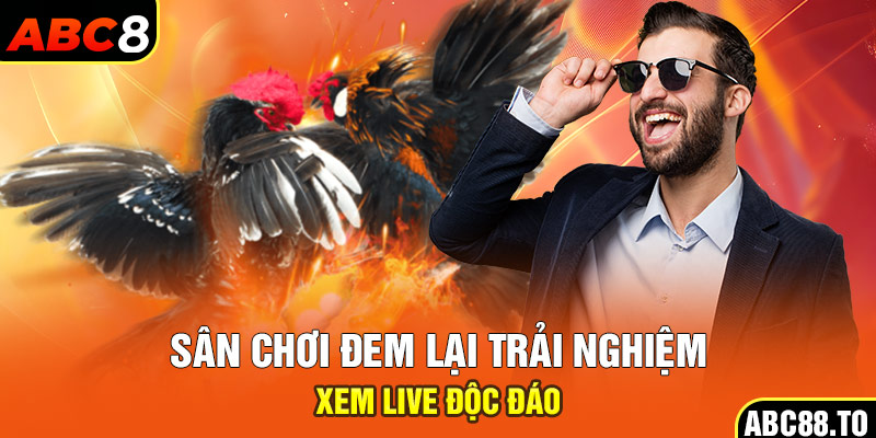 san-choi-dem-lai-trai-nghiem-xem-live-doc-dao