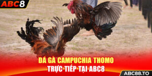 da-ga-campuchia-thomo-truc-tiep-tai-abc8