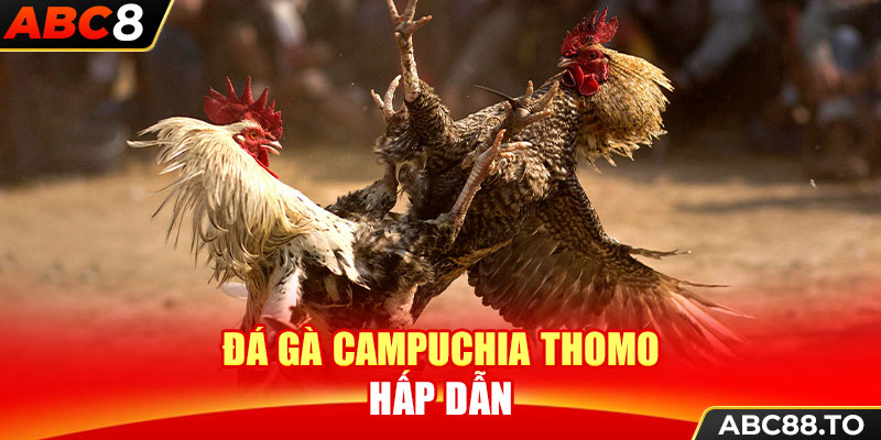 da-ga-campuchia-thomo-hap-dan