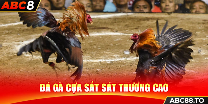 da-ga-cua-sat-sat-thuong-cao