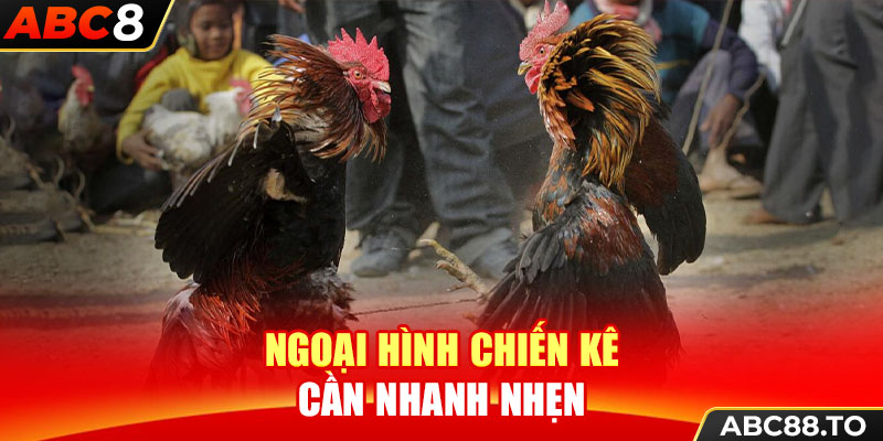 ngoai-hinh-chien-ke-can-nhanh-nhen